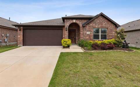 1140 Sheldon Drive, Anna, TX 75409