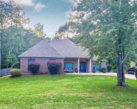 4 Chinaberry Circle, Carriere, MS 39426