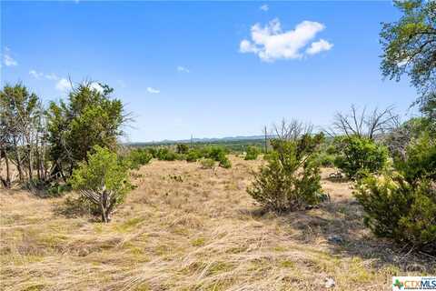 650 One River Point Drive, Johnson City, TX 78636