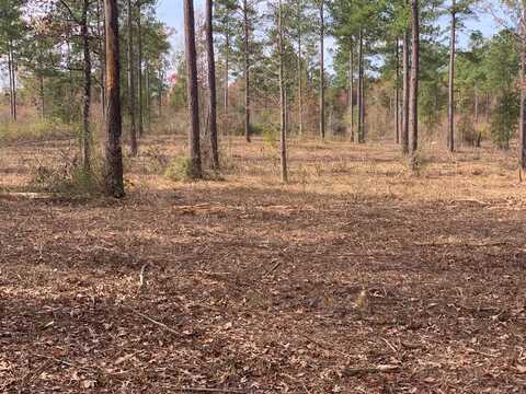 LOT # 5 OLD HWY 33, Centreville, MS 39631