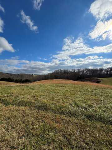 Lot 4 Holly Bend Dr., Byrdstown, TN 38549