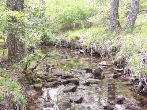 393 Timber View Road, Pikeville, TN 37367