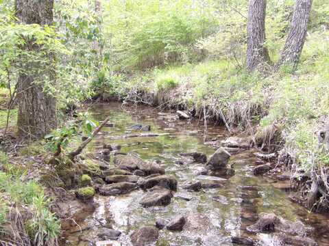 393 Timber View Road, Pikeville, TN 37367