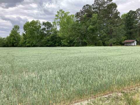 TBD Grant Dr., Pamplico, SC 29583