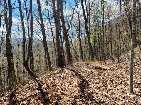 Skyline Drive, Waynesville, NC 28786