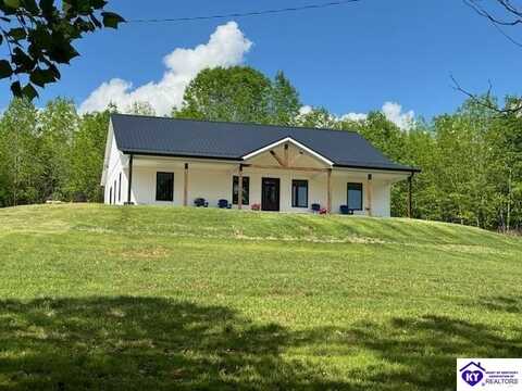 769 Spring Shores Lane, Falls Of Rough, KY 40119