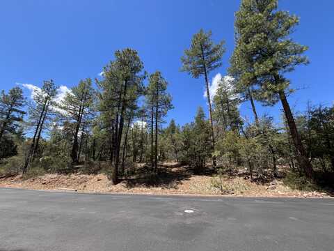 Lot 19 Strawberry Hollow, Pine, AZ 85544