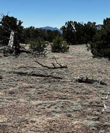 Tomahawk, Quemado, NM 87829