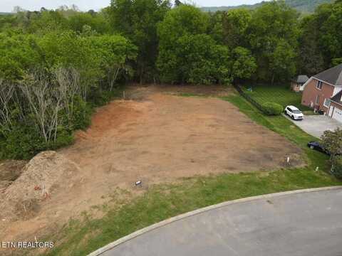 7408 Country Meadow Drive, Knoxville, TN 37918