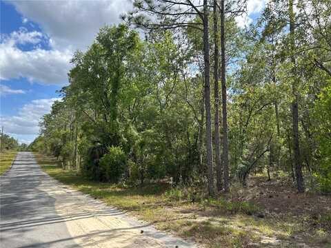 00 NW REDWING ROAD, DUNNELLON, FL 34431