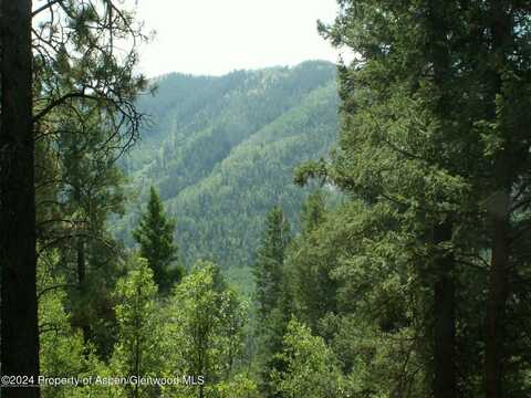 Tbd W Village Drive, Marble, CO 81623