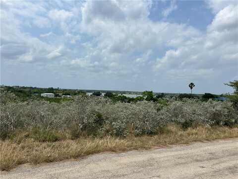 0 Lakeview Drive, Sandia, TX 78383