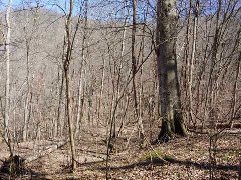 0 Birch Hollow Road, Stanton, KY 40380