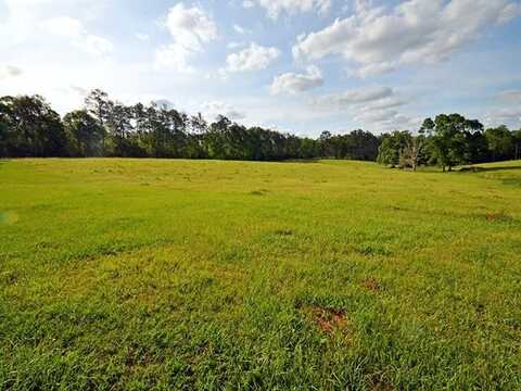 18680 GENE WILLIAMS Road, Franklinton, LA 70438