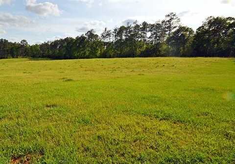 18670 GENE WILLIAMS Road, Franklinton, LA 70438