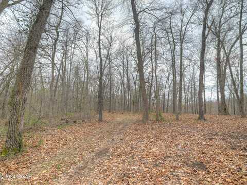 Tract 2 8.45 acres Wilderness Way, Anderson, MO 64831