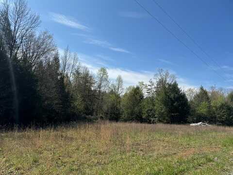 176 Lil Looper Branch Ln, MONTEREY, TN 38574