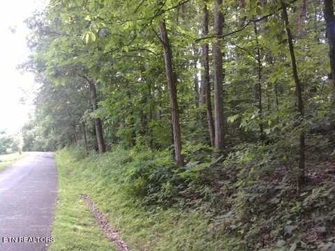Briarcliff Rd, Sweetwater, TN 37874