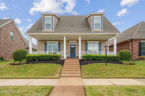 4648 N Terrace Stone Drive, Olive Branch, MS 38654