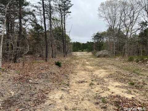 Lot 1 N Jerusalem Hollow Road, Manorville, NY 11949