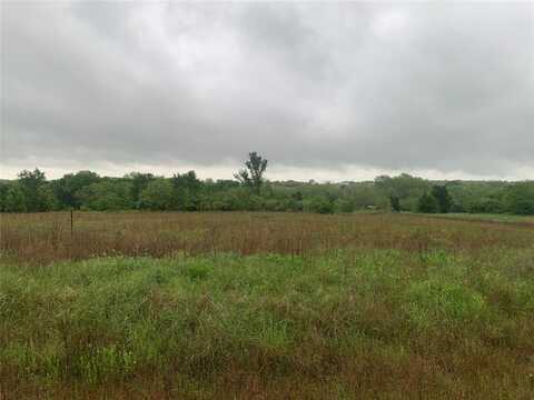 Lot 15 Private Road 4000, Gainesville, TX 76240