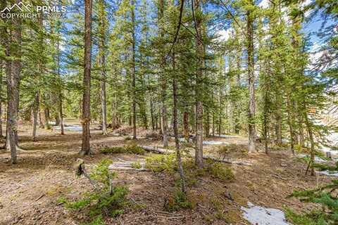 402 Silvermoon Heights, Divide, CO 80814