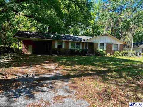 203 Quinby Circle, Quinby, SC 29506