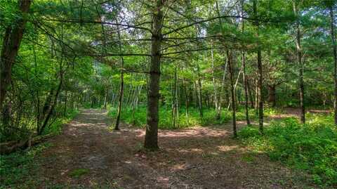 Lot 39 1517 Hardwood Court, Cable, WI 54821