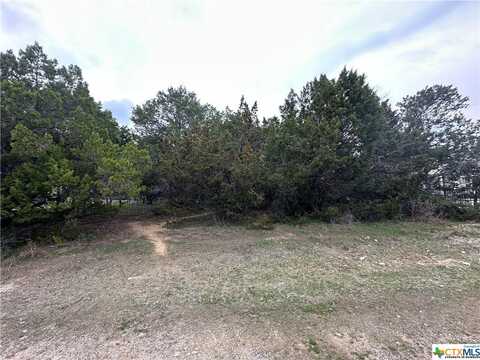 1692 Lakeview Drive, Canyon Lake, TX 78133