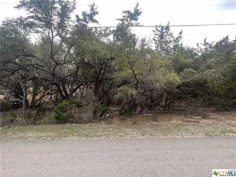 809 Scenic Run, Canyon Lake, TX 78133