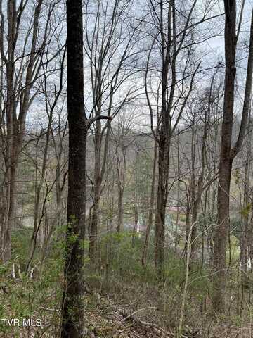 Lot 14b Cable Hollow Road, Butler, TN 37640