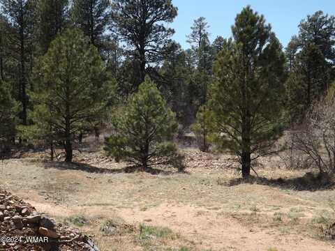 2860 Meadow Road, Heber, AZ 85928