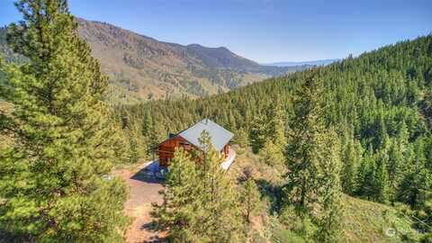 Nootka Rose, CASHMERE, WA 98815