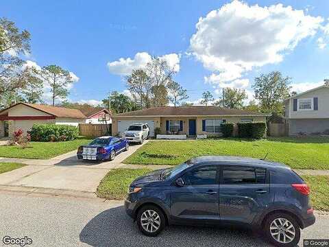 Briarberry, TAMPA, FL 33624