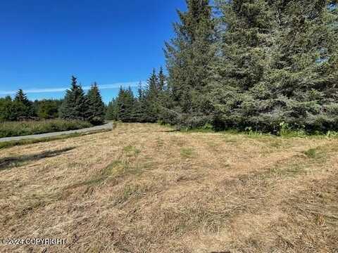 74124 Seaward Avenue, Anchor Point, AK 99556