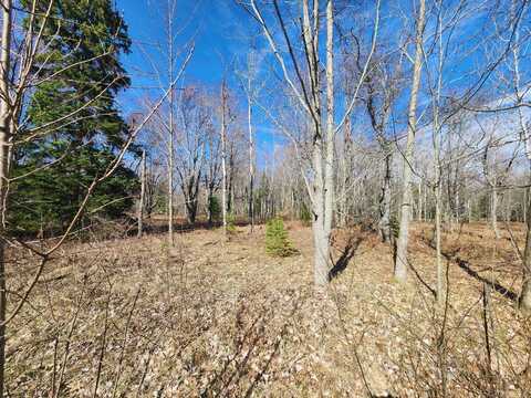 LOT 1829 SANDPIPER TRAIL, GAYLORD, MI 49735