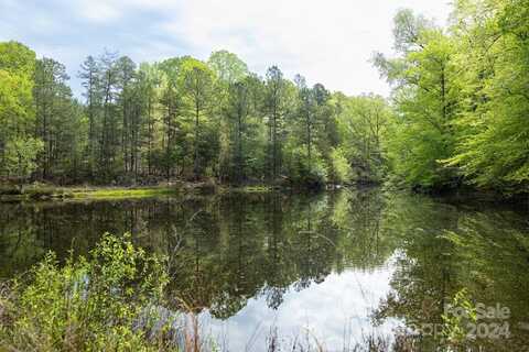 45 Ac Pilgrim Road, Chester, SC 29706