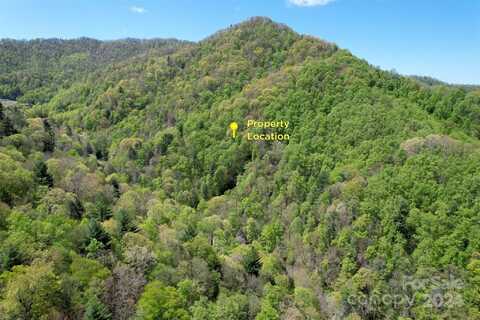 33.7 +/- Acres Jarrett Cove Road, Marshall, NC 28753