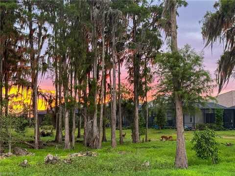 6023 Ellerston WAY, AVE MARIA, FL 34142