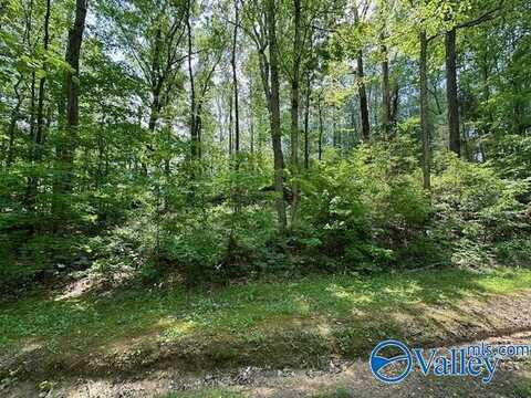 Lot 107 Creekwood Drive, Cherokee Ridge, AL 35175