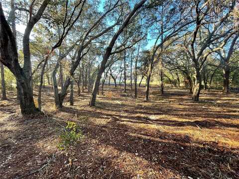 16302 FRINGE TREE DRIVE, SPRING HILL, FL 34610