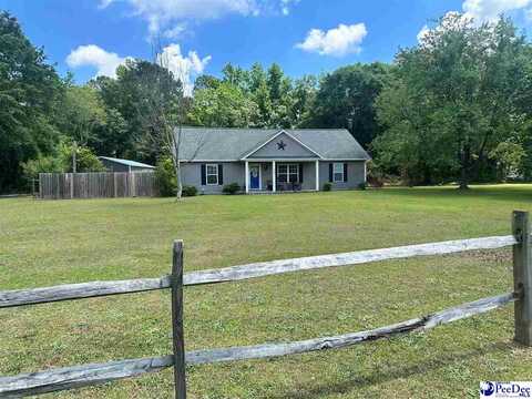 858 N Iveydale Road, Timmonsville, SC 29161