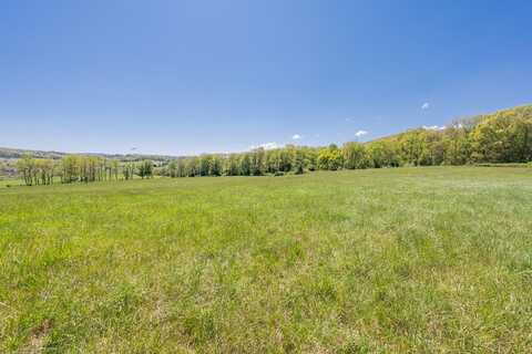 Tbd Fort Chiswell Rd, Max Meadows, VA 24360