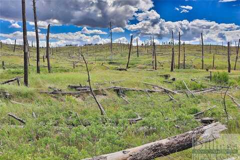 Na Buckskin Road, Roundup, MT 59079