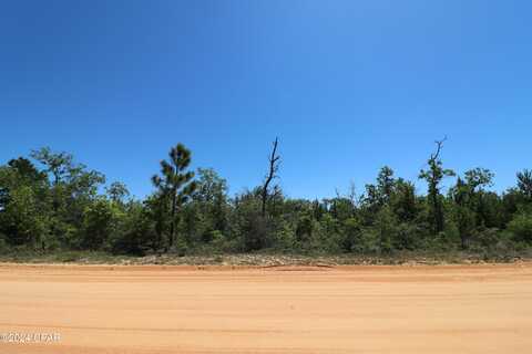 Petty Road lot: 13, Marianna, FL 32448