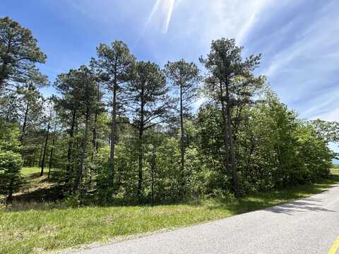 225 Prospectors Way, Jasper, TN 37347