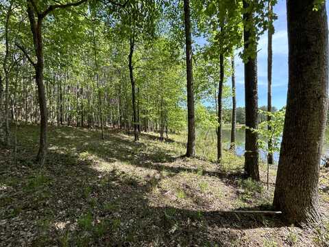 290 Bear Trace Drive, Jasper, TN 37347