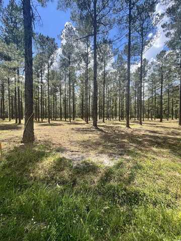 Lot 3 Ashley Circle, Conway, SC 29526