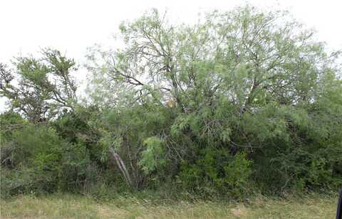 00 Carmel Dr, Sandia, TX 78383