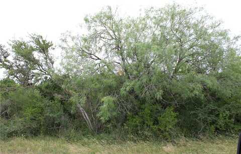 Carmel Dr, Sandia, TX 78383